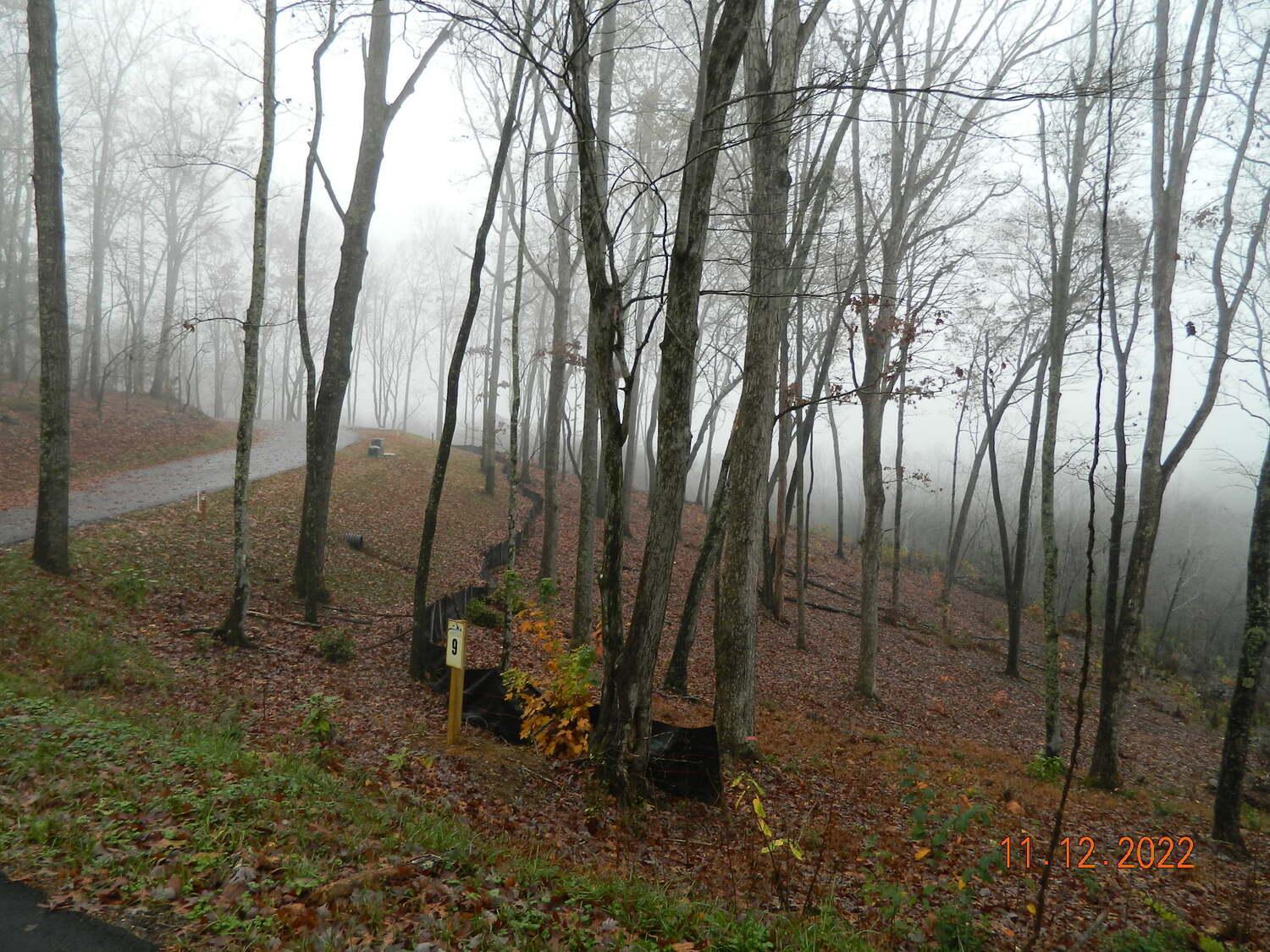 Couples Retreat: King Bed:Hot Tub:Firepit & More Blue Ridge Dış mekan fotoğraf
