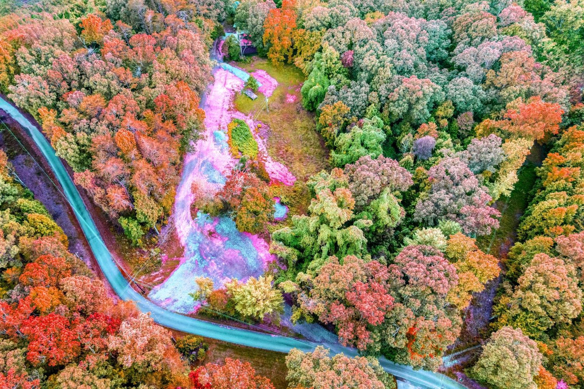 Couples Retreat: King Bed:Hot Tub:Firepit & More Blue Ridge Dış mekan fotoğraf